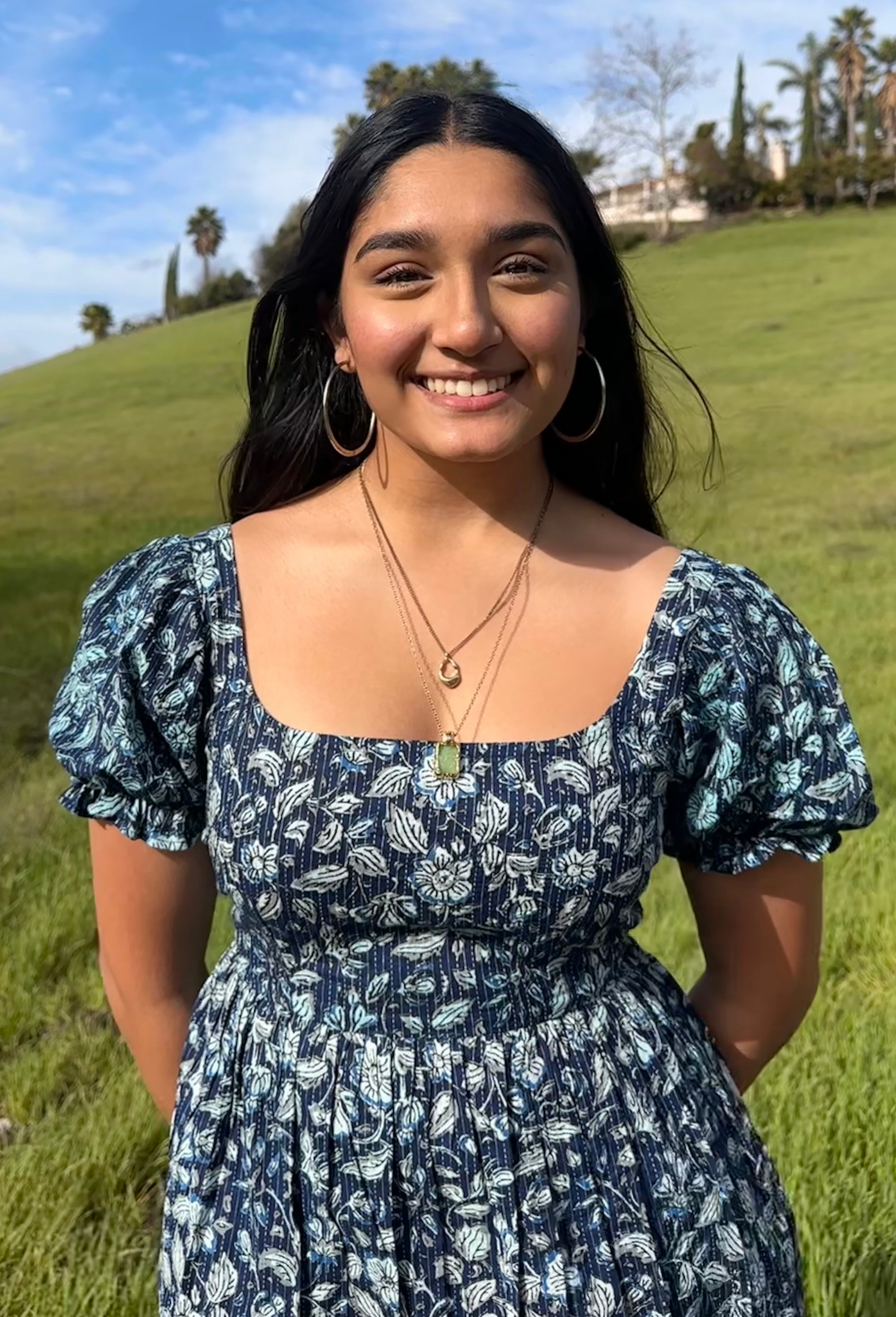 Blue and White Hand-Printed Short Cotton Dress